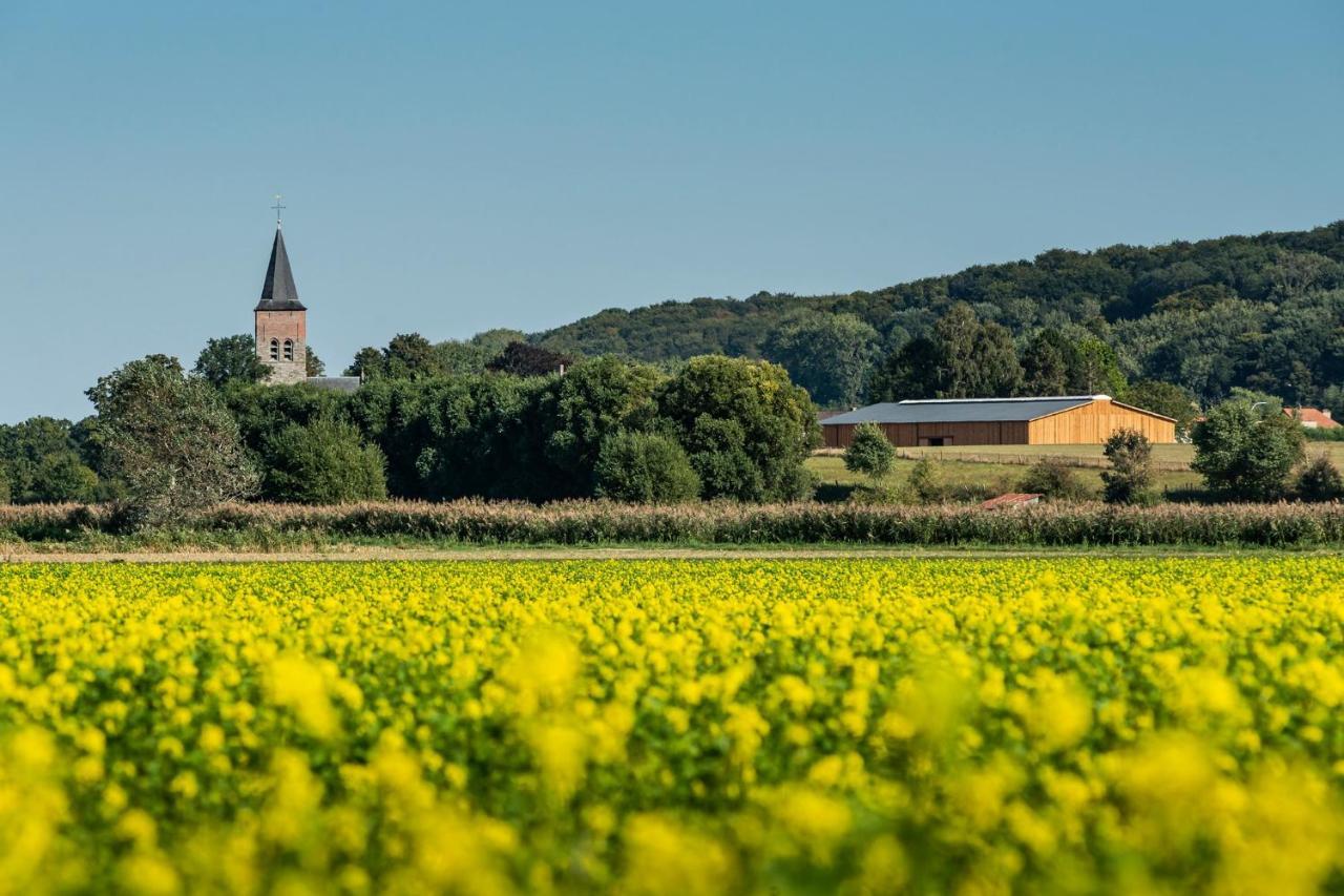 B@B Martinushoeve Oudenaarde Luaran gambar